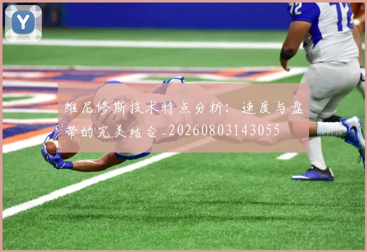 维尼修斯技术特点分析:速度与盘带的完美结合_20260803143055