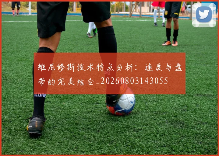 维尼修斯技术特点分析：速度与盘带的完美结合_20260803143055