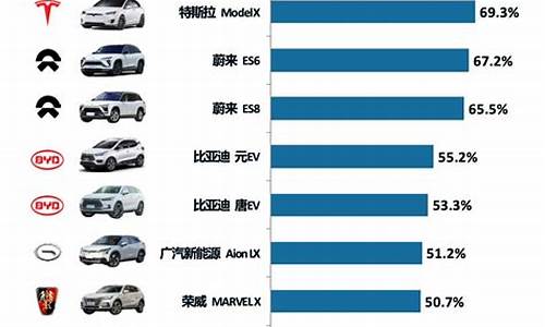 新能源汽车十大排名及价格排行榜_新能源汽车十大排名及价格排行榜图片