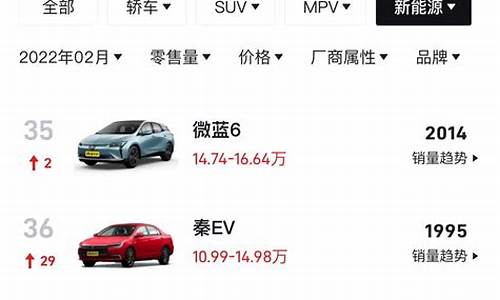 新能源汽车2座排名_新能源汽车2座排名前十